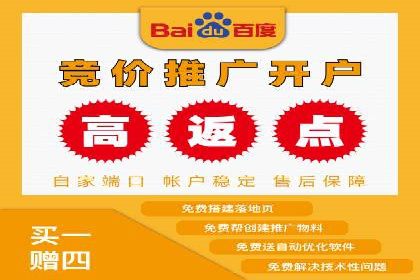 初学者的百度竞价推广：成功案例揭秘